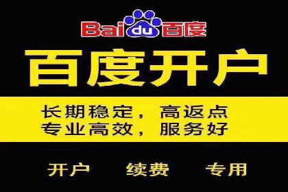 百度SEO推广公司案例剖析：助力企业提升排名